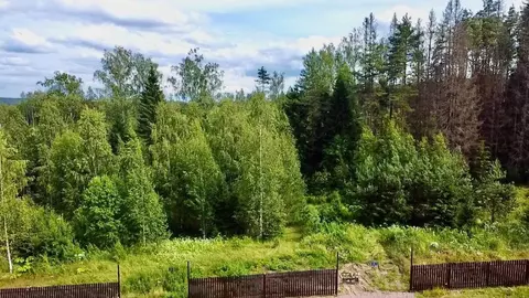 Участок в Ленинградская область, Выборгский район, Полянское с/пос, ...