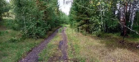 Участок в Свердловская область, Сысертский муниципальный округ, пос. ...