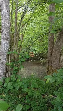 Участок в Крым, Бахчисарайский район, Зеленовское с/пос, с. Многоречье ...