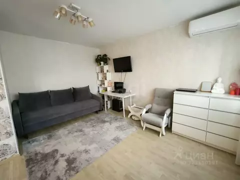 Студия Красноярский край, Красноярск ул. Любы Шевцовой, 80 (32.6 м)