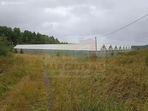 Участок в Ленинградская область, Выборг (1000 м)