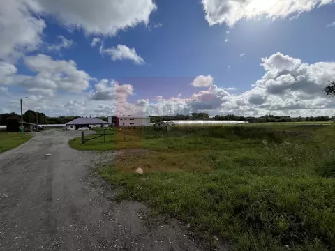 Склад в Калининградская область, Зеленоградский муниципальный округ, ...