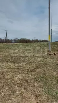 Участок в Калининградская область, Зеленоградский муниципальный округ, ...