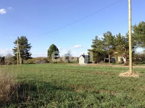 Дом в Вологодская область, д. Междуречье  (48 м)