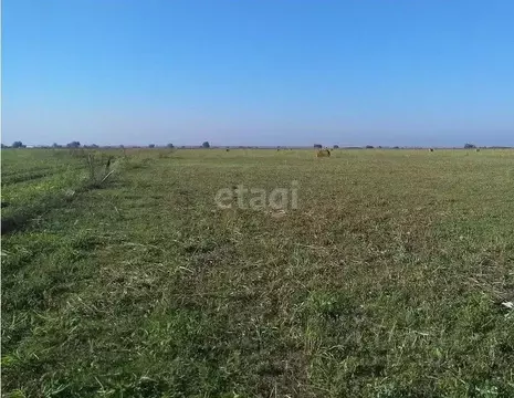 Участок в Крым, Джанкойский район, Светловское с/пос, с. Светлое ул. ...