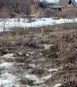 Дом в Алтайский край, Первомайский район, Мечта СНТ 215 (9 м)