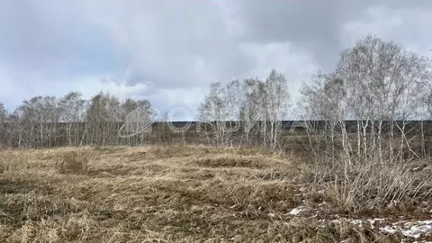 Участок в Тюменская область, Тюменский муниципальный округ, с. ...