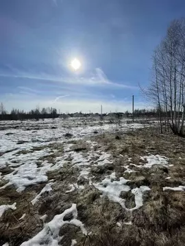 Участок в Костромская область, Костромской район, Самсоновское с/пос, ...