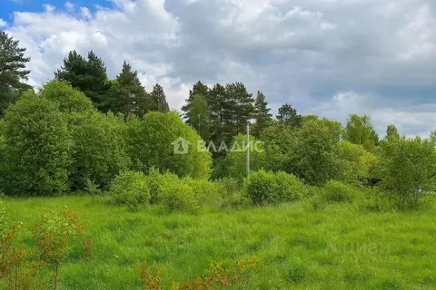 Участок в Владимирская область, Собинский муниципальный округ, ...
