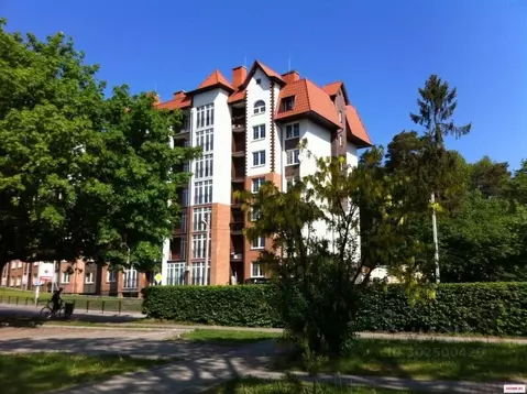 1-к кв. Калининградская область, Светлогорск Калининградский просп., ...