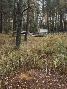 Участок в Брянская область, Брянский район, Свенское с/пос, пос. Свень ...