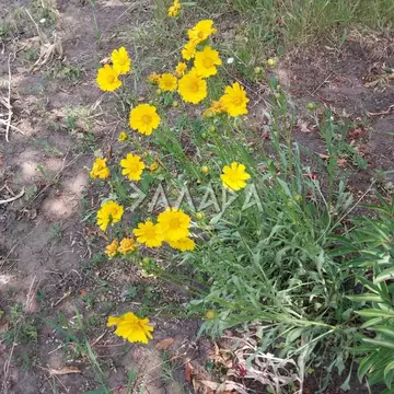 Участок в Ростовская область, Ростов-на-Дону Пейзажная ул. (6.0 сот.)