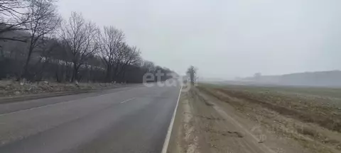 Участок в Краснодарский край, Крымский район, Нижнебаканская ст-ца ...