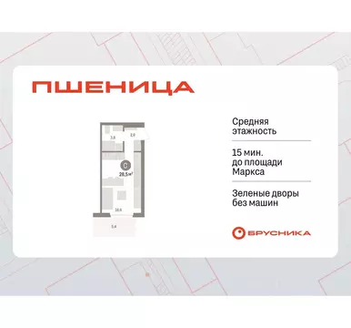 Студия Новосибирская область, Новосибирский район, Краснообск рп, 3-й ...