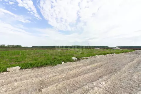 Участок в Тюменская область, Тюменский муниципальный округ, ...