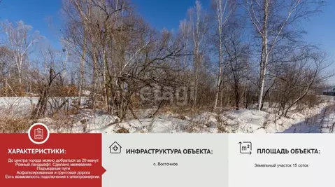 Участок в Хабаровский край, Хабаровский район, с. Восточное пер. ...