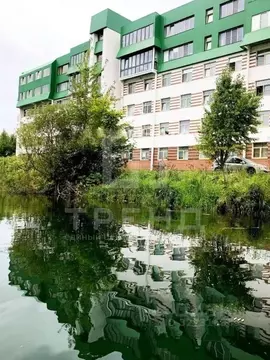 1-к кв. Санкт-Петербург, Санкт-Петербург, Красное Село ул. Первого ...