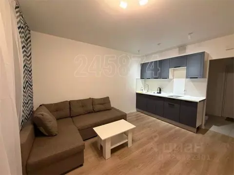 Студия Московская область, Красногорск городской округ, пос. ...