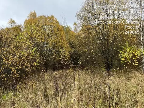 Участок в Московская область, Можайский муниципальный округ, д. ...