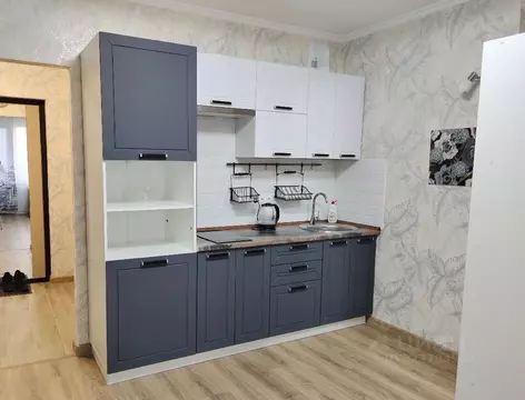 Студия Санкт-Петербург пос. Шушары, просп. Новгородский, 2к1 (25.0 м)