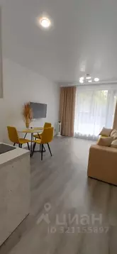 Студия Санкт-Петербург просп. Обуховской обороны, 36 (25.0 м)