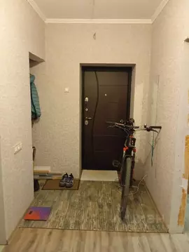 1-к кв. Новосибирская область, Новосибирск Академгородок мкр, ул. ...