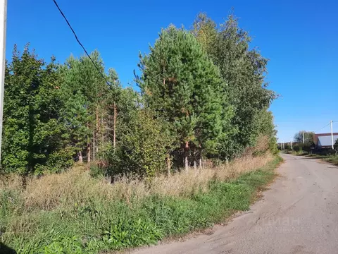 Участок в Саратовская область, Базарно-Карабулакский район, ...