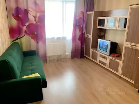 Студия Ленинградская область, Кудрово г. Всеволожский район, Заневское ...