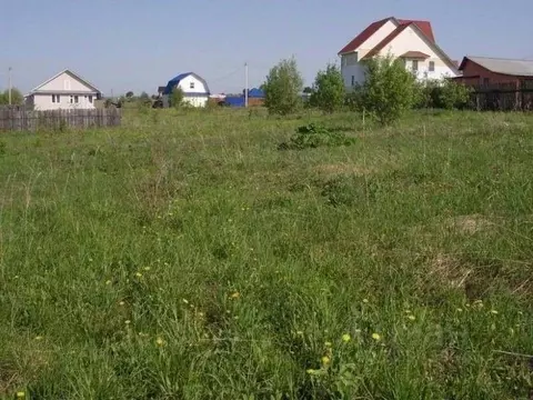 Участок в Пермский край, Чайковский городской округ, с. Ваньки ул. ...