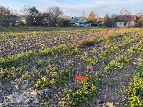 Участок в Приморский край, Артемовский городской округ, с. Кролевцы ...