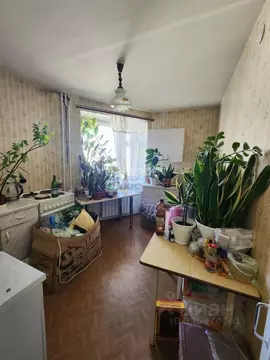 2-к кв. Липецкая область, Липецк ул. А.Г. Стаханова, 29А (53.5 м)