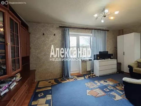 1-комнатная квартира: посёлок Песочный, Белоостровское шоссе, 1 (31.5 ...