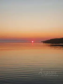 Дом в Псковская область, Гдовский муниципальный округ, д. Казурино  ...