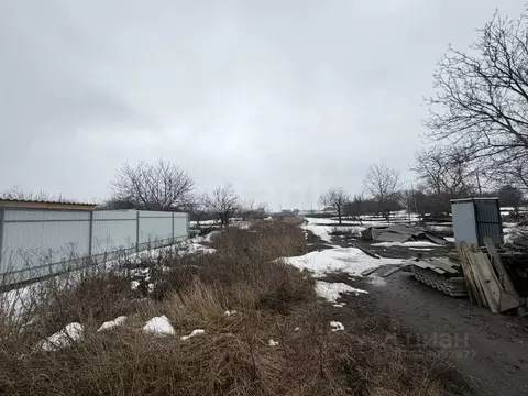 Участок в Белгородская область, Корочанский район, с. Погореловка ...