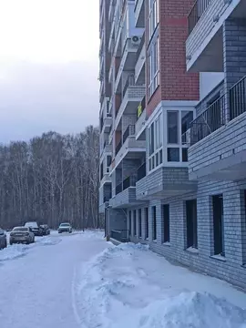 Квартира-студия: Патрушева, улица Александра Пушкина, 16 (20.5 м)