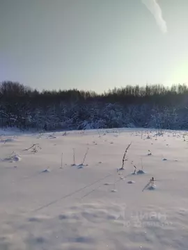 Участок в Московская область, Клин городской округ, д. Покров  (11.0 ...