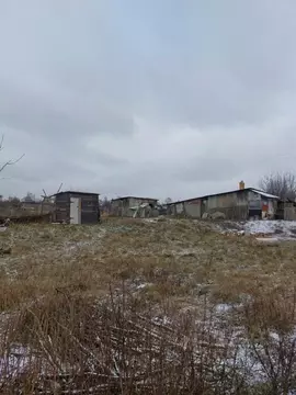 Участок в Орловская область, Мценский район, Подберезовское с/пос, ...