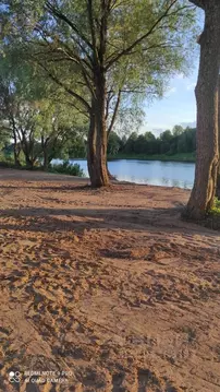 Участок в Новгородская область, Новгородский район, Бронницкое с/пос, ...