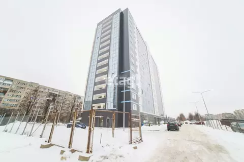 Студия Санкт-Петербург ул. Крыленко, 14с3 (25.5 м)