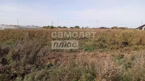 Участок в Амурская область, Благовещенский район, с. Волково  (10.0 ...