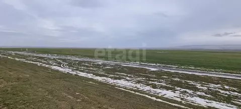 Участок в Крым, Кировский район, с. Владиславовка ул. Виноградная ...