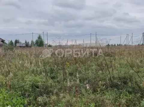 Участок в Тюменская область, Нижнетавдинский район, Сочинские СНТ  ...