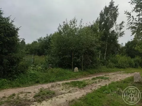 Участок в Ленинградская область, Приозерский район, Запорожское с/пос, ...