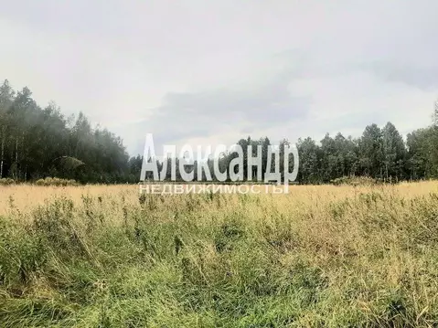 Участок в Ленинградская область, Приозерский район, Мельниковское ...