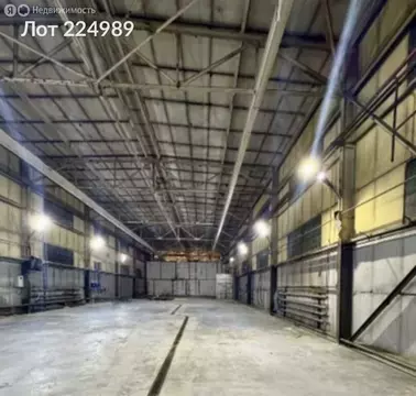 Помещение свободного назначения (3046.1 м)