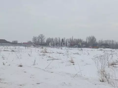 Участок в Башкортостан, Чишминский район, Сафаровский сельсовет, д. ...