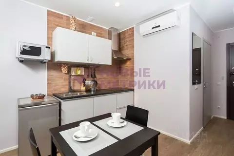 Студия Санкт-Петербург ул. Академика Павлова, 7 (29.0 м)