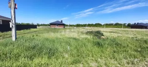 Участок в Воронежская область, Новоусманский район, Никольское с/пос, ...