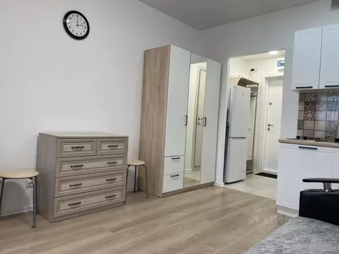 Студия Москва ул. Красулинская, 20 (19.6 м)