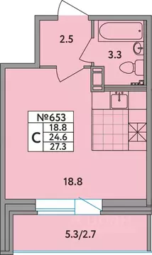 Студия Ленинградская область, Всеволожский район, д. Новое Девяткино ...